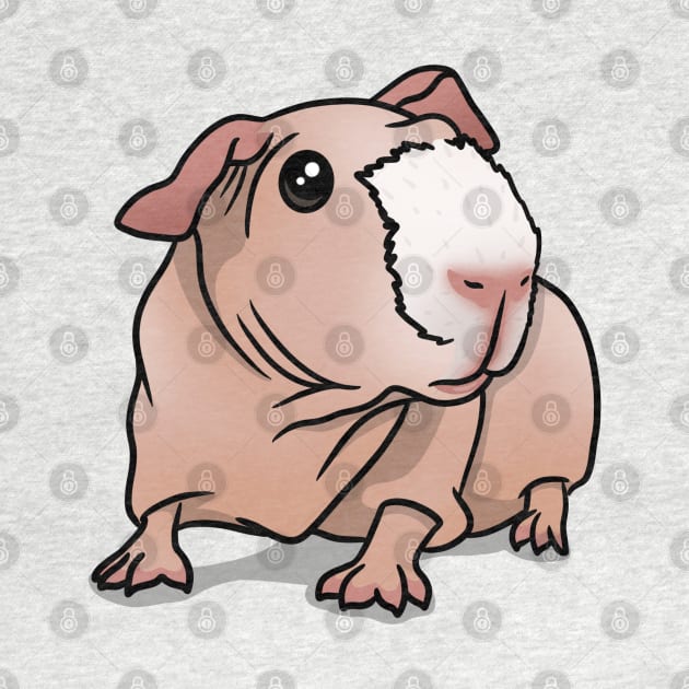 Skinny Pig Pink/White by Kats_guineapigs